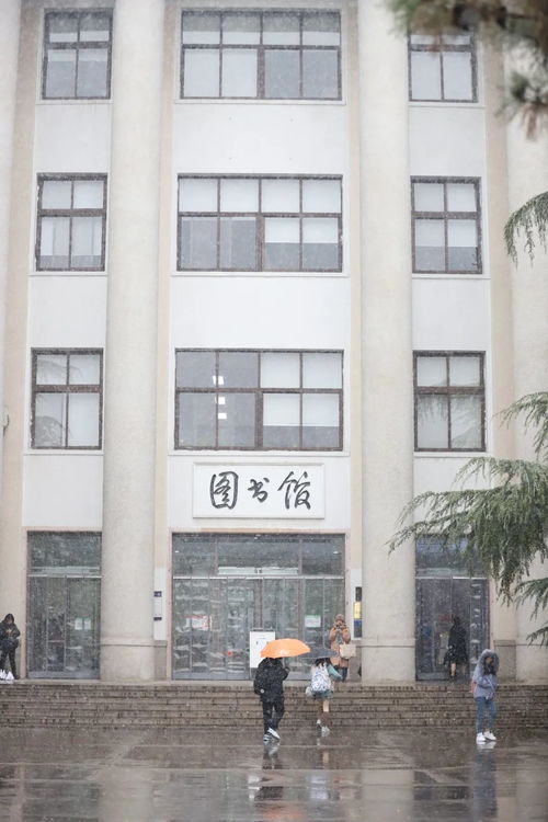 北科初雪有多美，看這里！